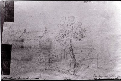 El dibujo real de uno de los mas famosos arboles de la historia 